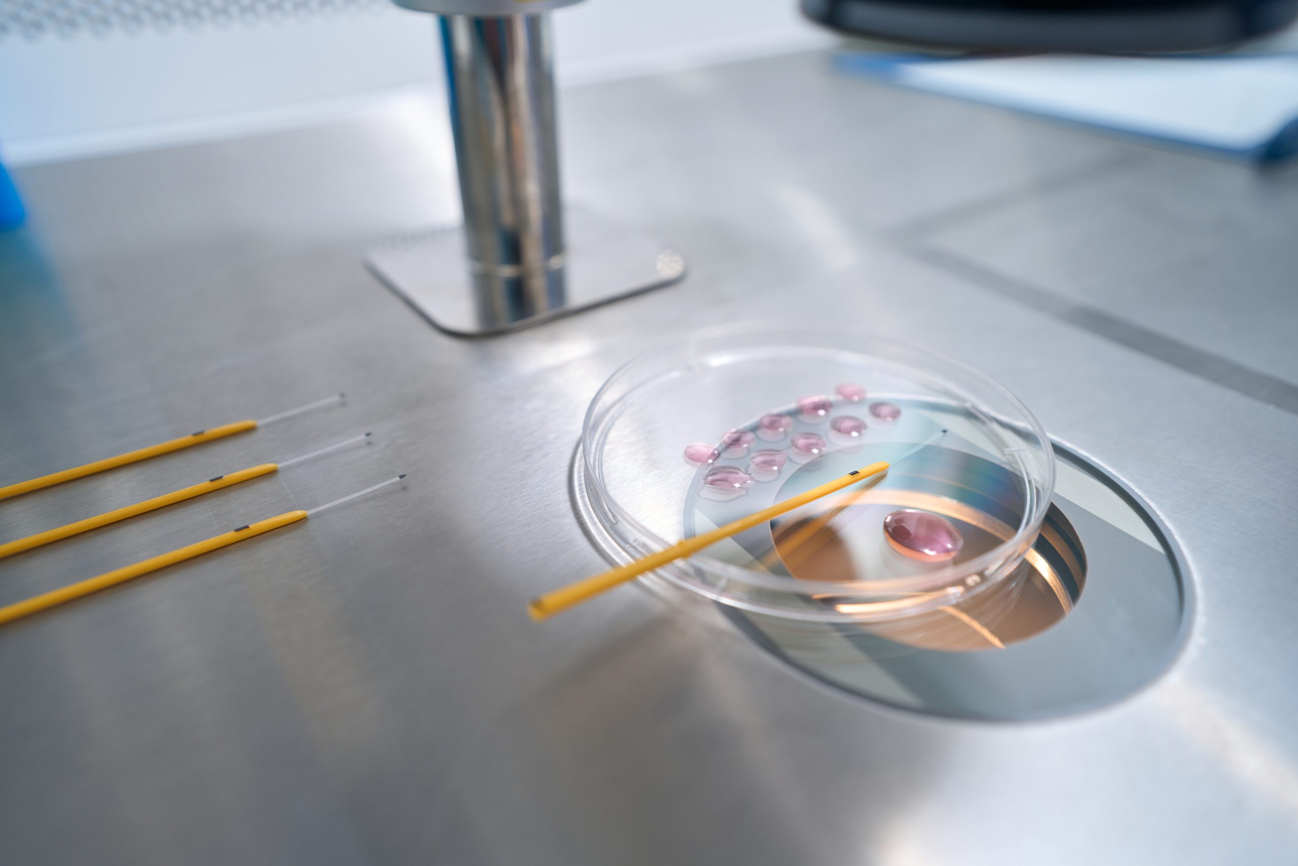 ivf procedure step by step