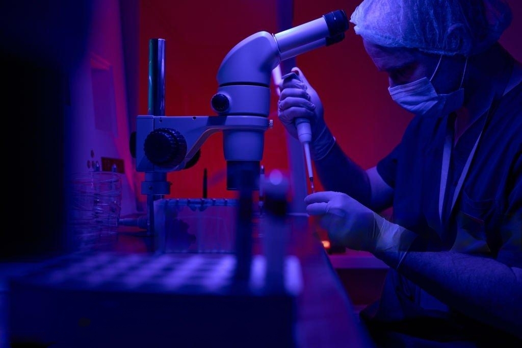 blastocyst embryo transfer benefits