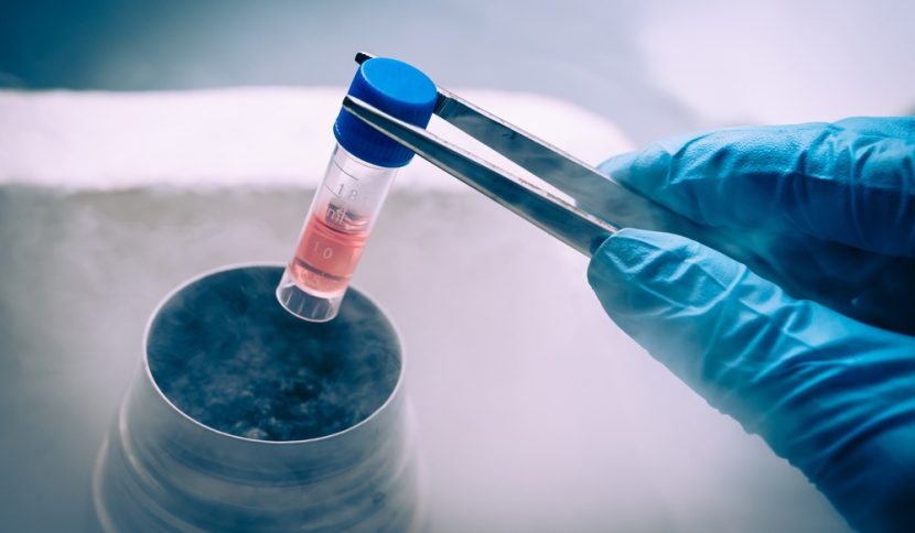 ivf treatment egg retrieval