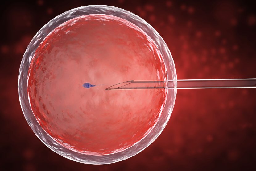 ivf treatment guidelines